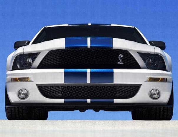 2007 Ford Shelby GT500 